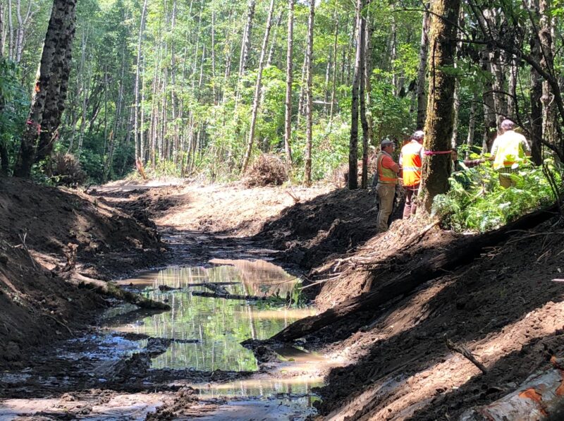 Middle Slough Restoration Project Phase 2 Mattole Salmon Group